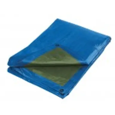 TOLDO VERDE/AZUL 3X5M