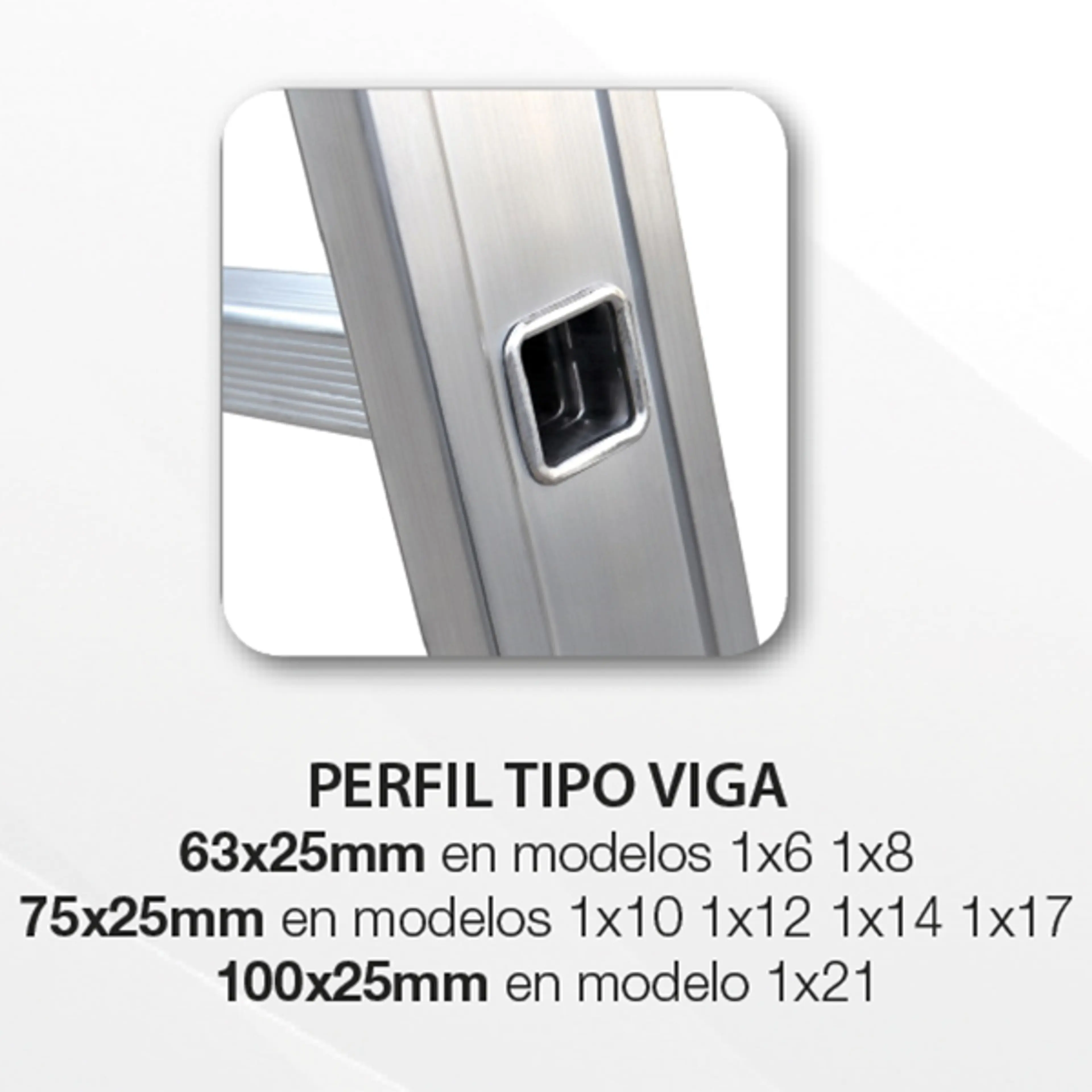 ESCALERA ITEEM PRO 2X8