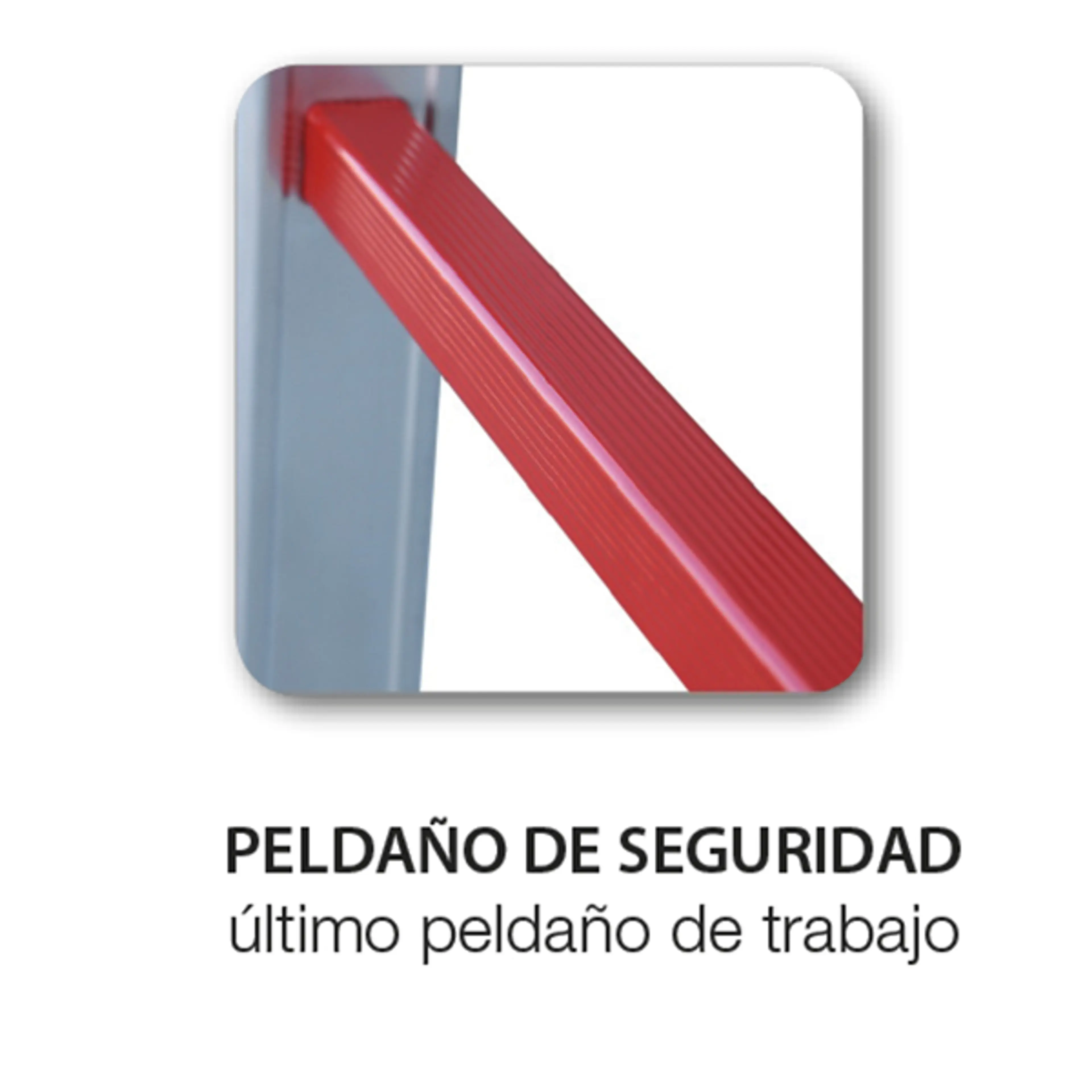 ESCALERA ITEEM PRO 2X14