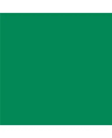 PINTURA 400ML RAL6024 VERDE TRAFICO
