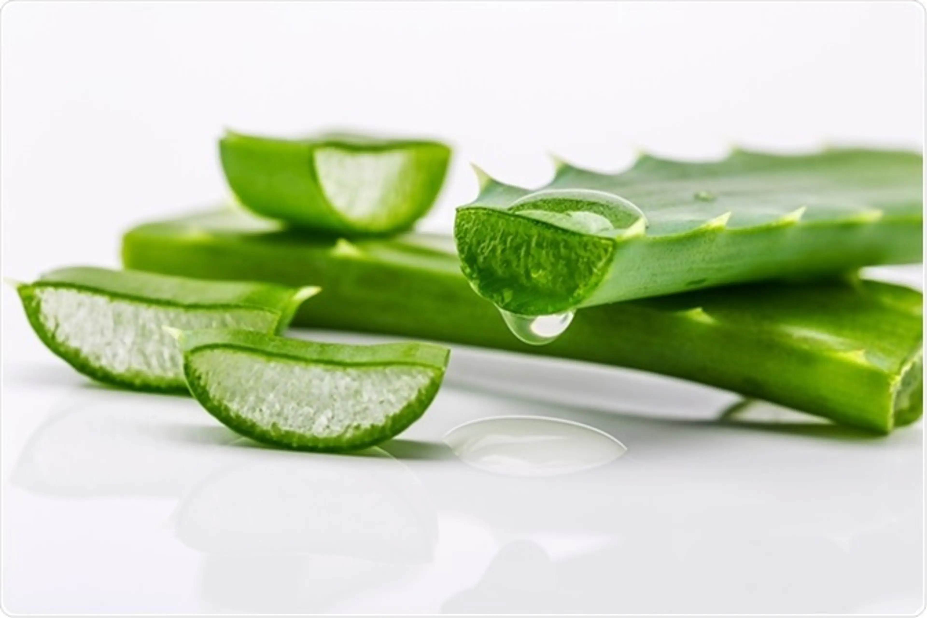 GEL HIDROALCOHOLICO ALOE VERA 500ML